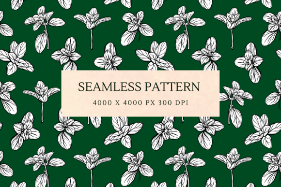 Download Basil Herb Pattern - Basil Collection