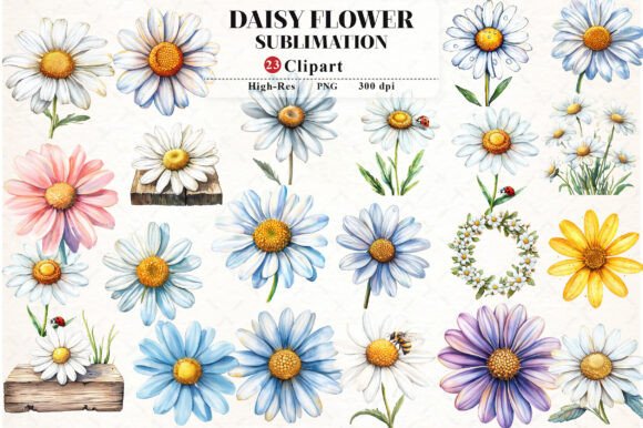 Download Daisy Flower Watercolor Cliparts - Clipart Collection